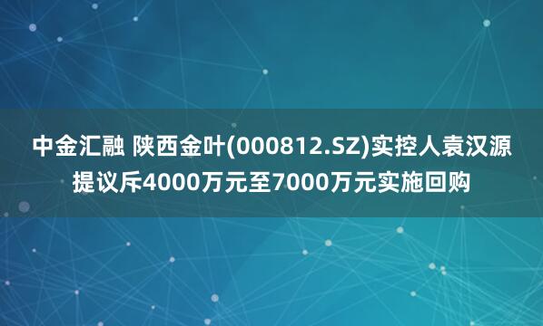 中金汇融 陕西金叶(000812.SZ)实控人袁汉源提议斥4000万元至7000万元实施回购