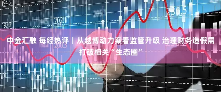 中金汇融 每经热评｜从越博动力案看监管升级 治理财务造假需打破相关“生态圈”
