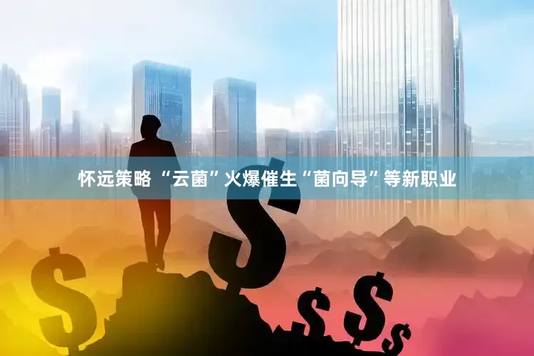 怀远策略 “云菌”火爆催生“菌向导”等新职业