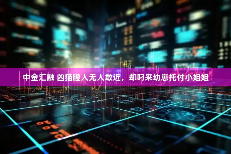 中金汇融 凶猫瞪人无人敢近，却叼来幼崽托付小姐姐