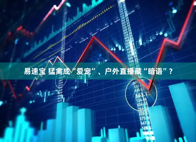 易速宝 猛禽成“爱宠”、户外直播藏“暗语”？